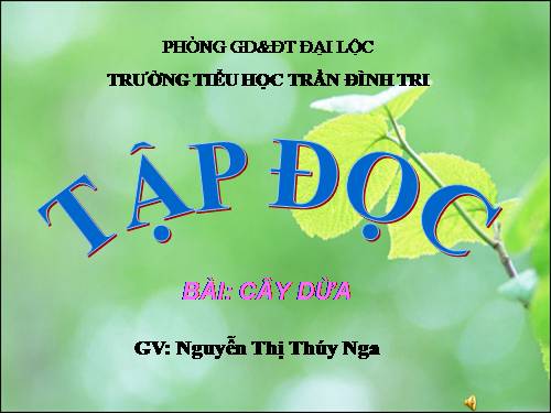 Tuần 28. Cây dừa