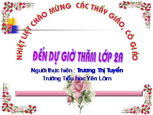 Tuần 8. Bàn tay dịu dàng