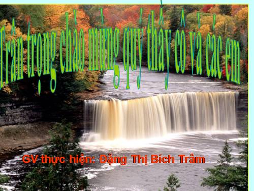 Tuần 4. Trên chiếc bè