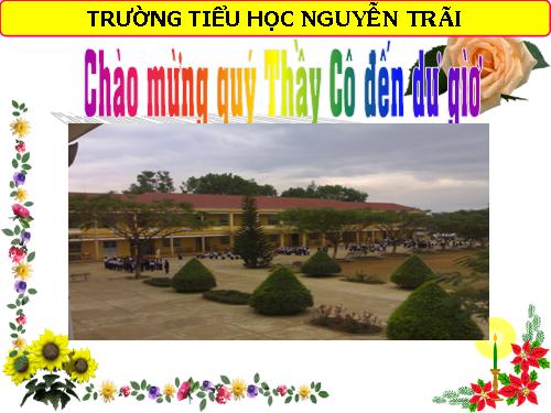 Tuần 26. Sông Hương