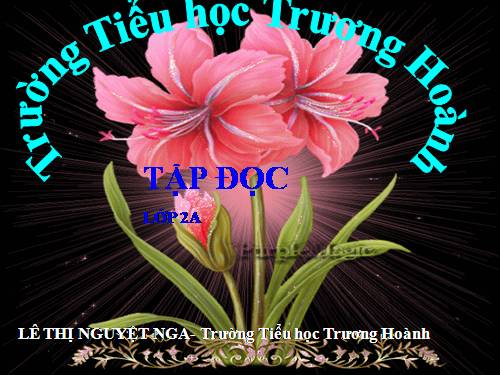 Tuần 12. Mẹ