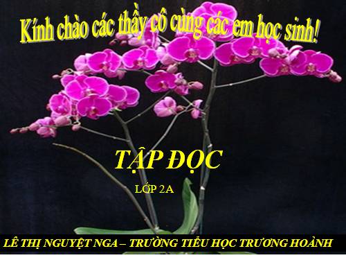 Tuần 26. Sông Hương