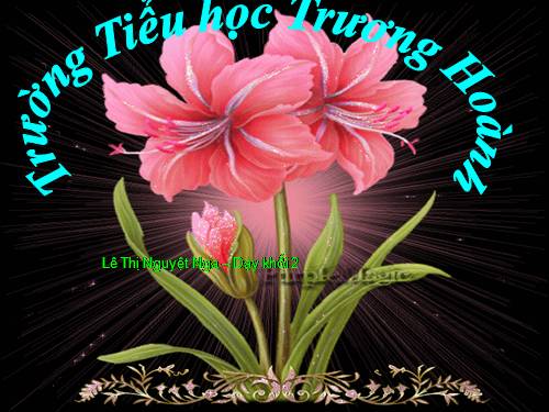 Tuần 24. Voi nhà