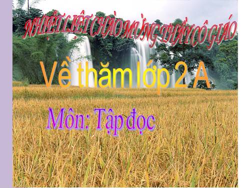 Tuần 8. Bàn tay dịu dàng