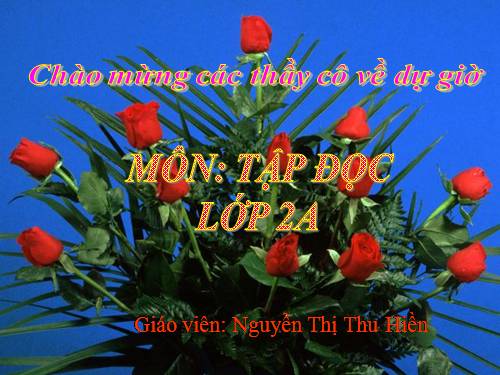 Tuần 28. Cây dừa