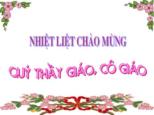 Tuần 28. Kho báu