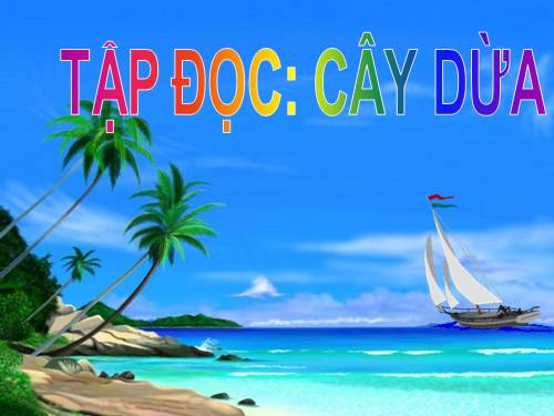 Tuần 28. Cây dừa