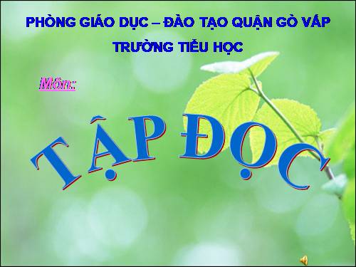 Tuần 28. Cây dừa