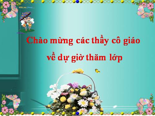 Tuần 21. Vè chim