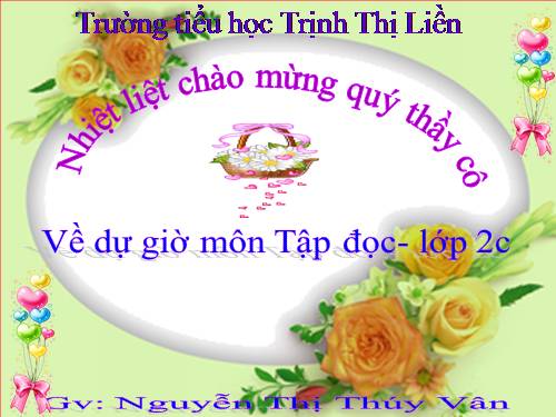 Tuần 28. Cây dừa