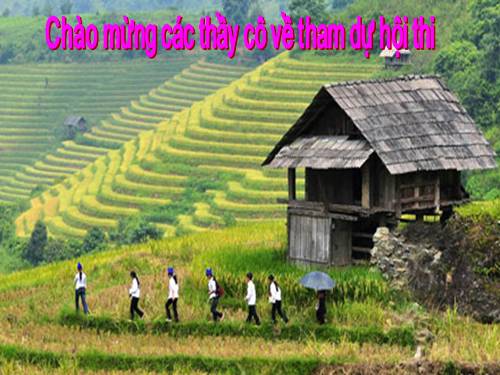 Tuần 24. Voi nhà