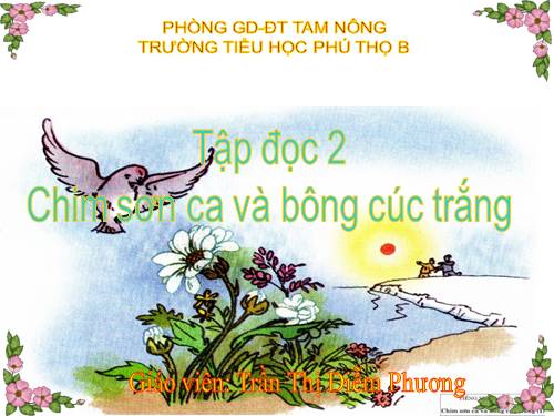 Tuần 21. Chim sơn ca và bông cúc trắng