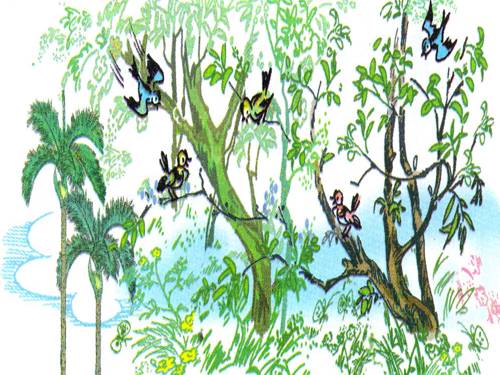 Tuần 20. Mùa xuân đến