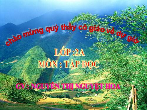 Tuần 13. Bông hoa Niềm Vui