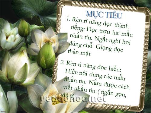 Tuần 14. Nhắn tin
