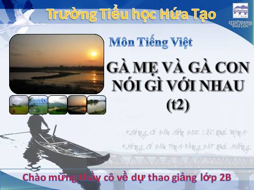 Tuần 17. Gà tỉ tê với gà