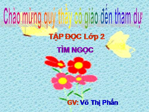 Tuần 17. Tìm ngọc
