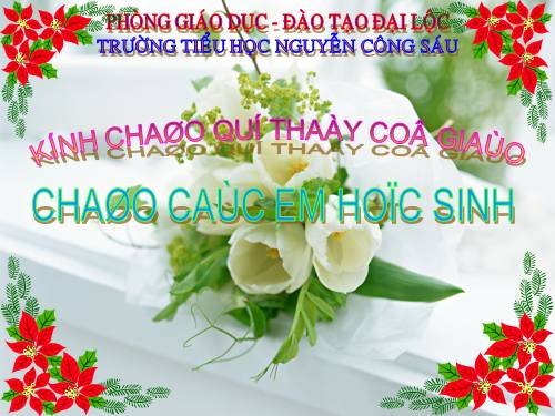 Tuần 17. Gà tỉ tê với gà