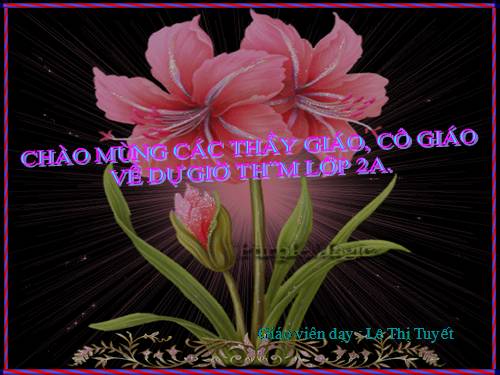 Tuần 11. Cây xoài của ông em