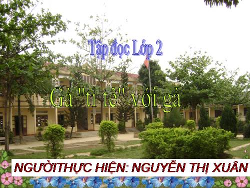Tuần 17. Gà tỉ tê với gà