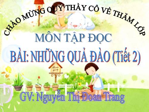 Tuần 29. Những quả đào