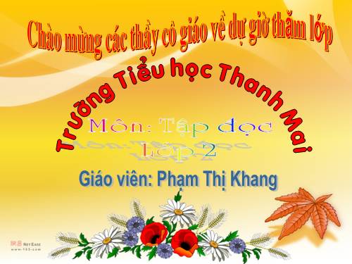 Tuần 12. Mẹ