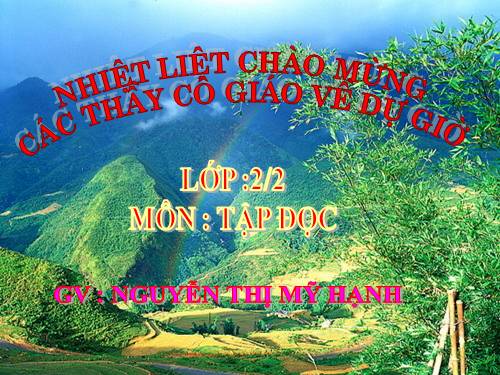 Tuần 13. Bông hoa Niềm Vui