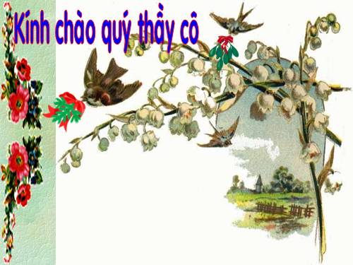 Tuần 31. Cây và hoa bên lăng Bác