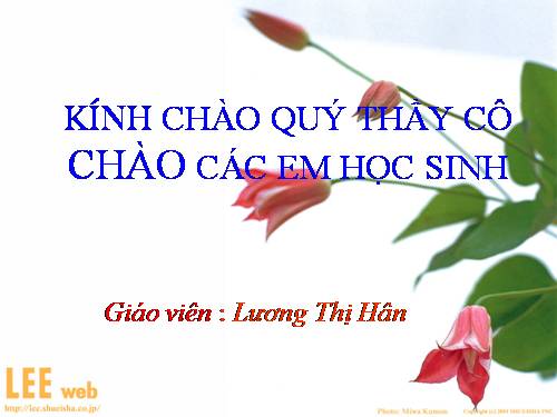 Tuần 12. Mẹ