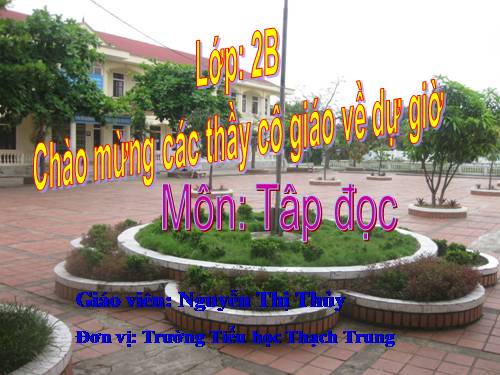 Tuần 8. Bàn tay dịu dàng