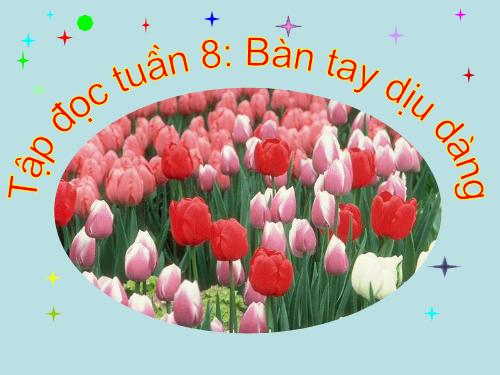 Tuần 8. Bàn tay dịu dàng