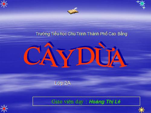 Tuần 28. Cây dừa