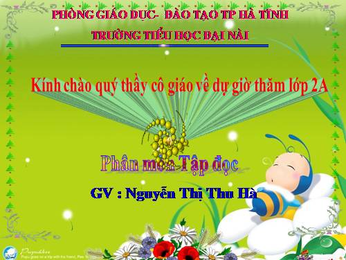 Tuần 7. Thời khoá biểu