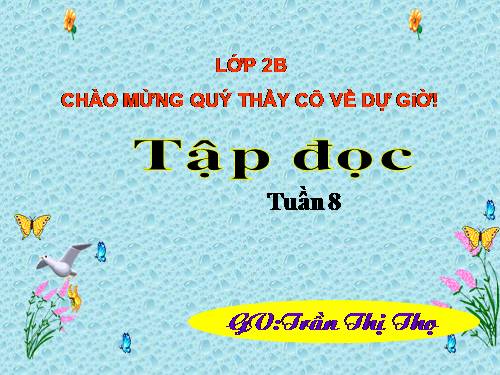 Tuần 8. Bàn tay dịu dàng