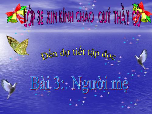 Tuần 8. Người mẹ hiền