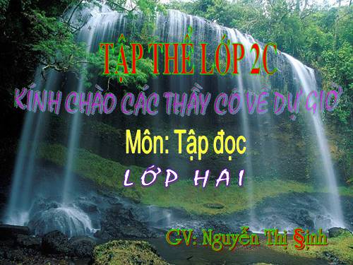 Tuần 28. Cây dừa