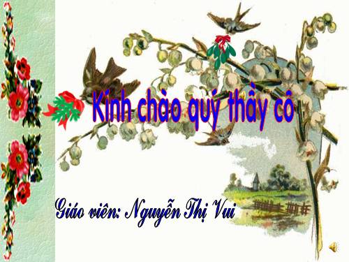 Tuần 31. Cây và hoa bên lăng Bác