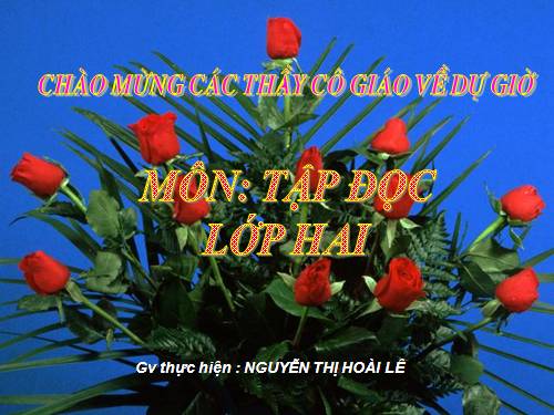 Tuần 28. Cây dừa