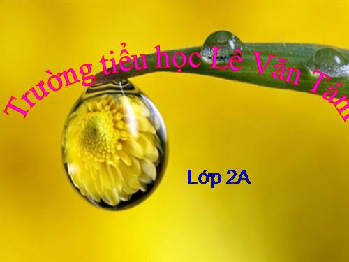 Tuần 2. Mít làm thơ