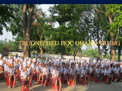 Tuần 28. Cây dừa