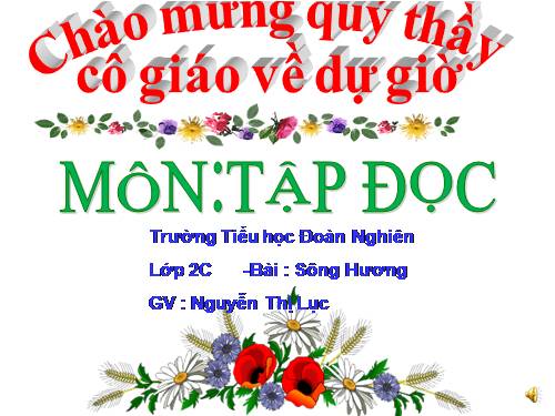 Tuần 26. Sông Hương