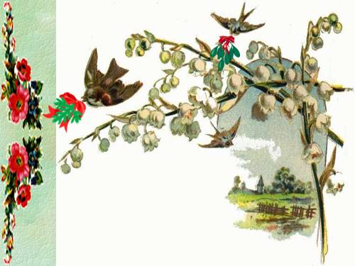 Tuần 31. Cây và hoa bên lăng Bác