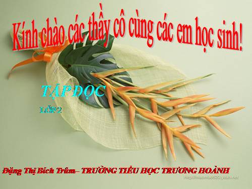 Tuần 20. Mùa xuân đến
