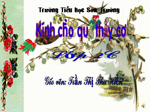 Tuần 31. Cây và hoa bên lăng Bác