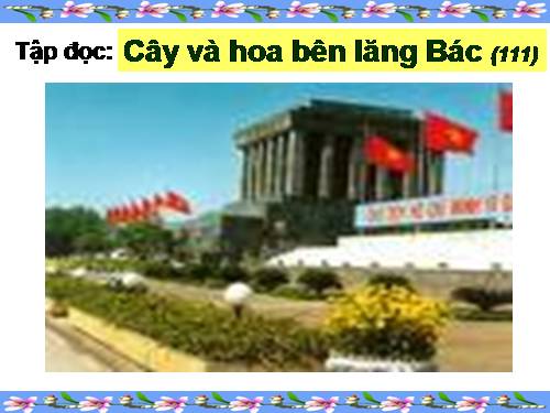 Tuần 31. Cây và hoa bên lăng Bác