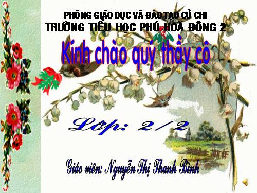 Tuần 31. Cây và hoa bên lăng Bác
