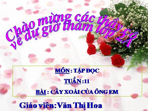Tuần 11. Cây xoài của ông em