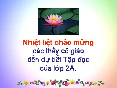 Tuần 8. Bàn tay dịu dàng