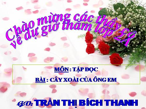 Tuần 11. Cây xoài của ông em