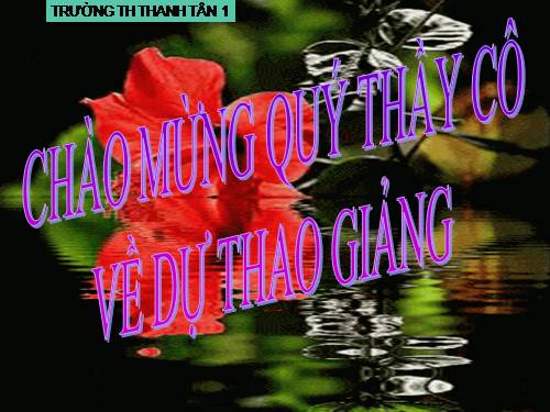 Tuần 23. Nội quy Đảo khỉ